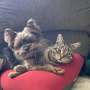 Meet your Posher, Janie